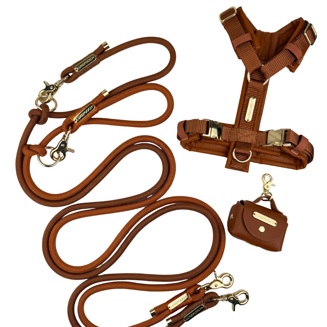 A brown leather dog training set including a long leash with metal snap hooks, a matching harness, and a small leather pouch, arranged on a plain white background.