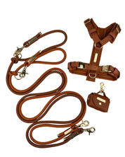 A brown leather dog training set including a long leash with metal snap hooks, a matching harness, and a small leather pouch, arranged on a plain white background.