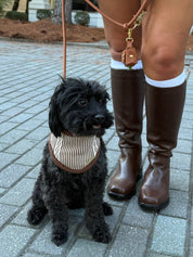 A small black dog wearing a beige and white striped bandana sits on a gray paved walkway while being held on a tan leash by a person wearing brown knee-high boots, a white skirt, and a brown jacket.