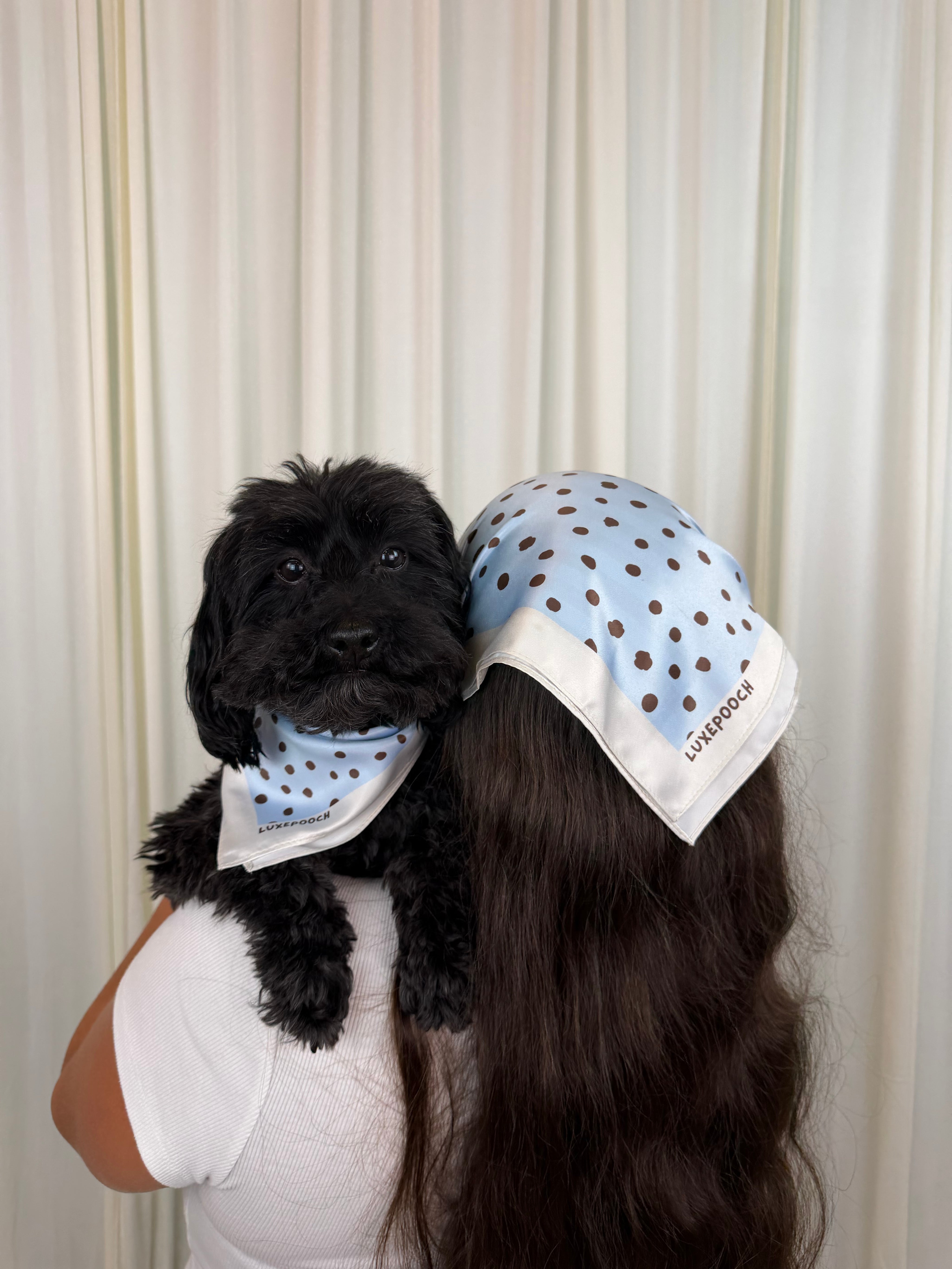 A person with long dark hair wearing a light blue and brown polka dot scarf on their head, holding a small black dog that is wearing a matching scarf. The background consists of cream-colored curtains.