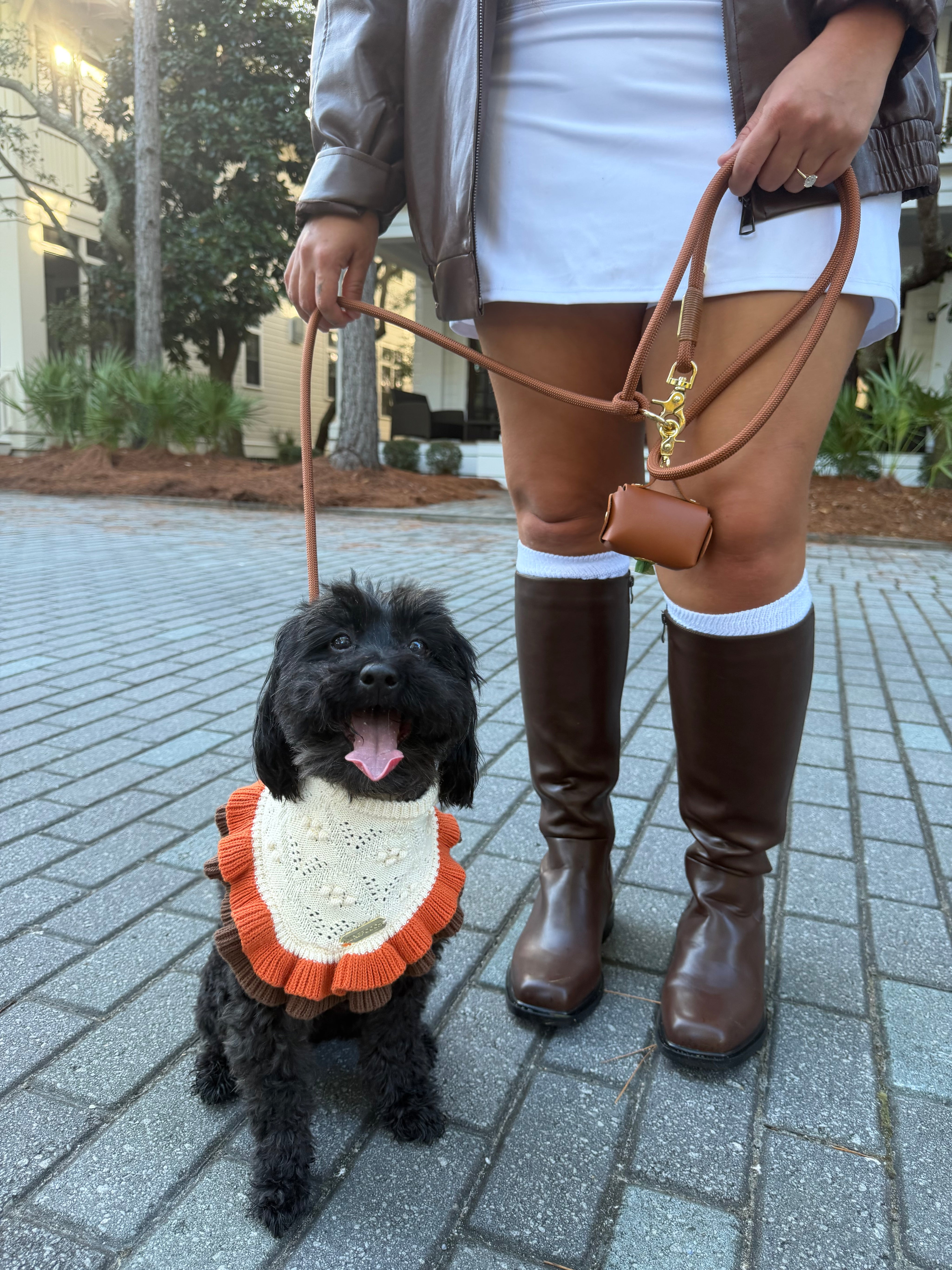 A small black dog wearing an orange and cream knit sweater vest sits on a paved walkway while being held on a leash by a person wearing brown knee-high boots, a white dress, and a brown jacket. The person also carries a matching brown leather dog bag and leash accessory.