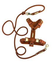 A brown dog harness and matching lead set with gold-tone metal hardware, displayed on a clean white background.