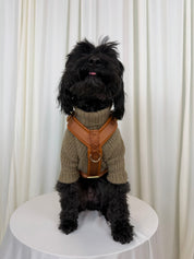 A small black dog wearing a beige knit sweater vest and brown harness sits on a round white table in front of a white curtain backdrop.