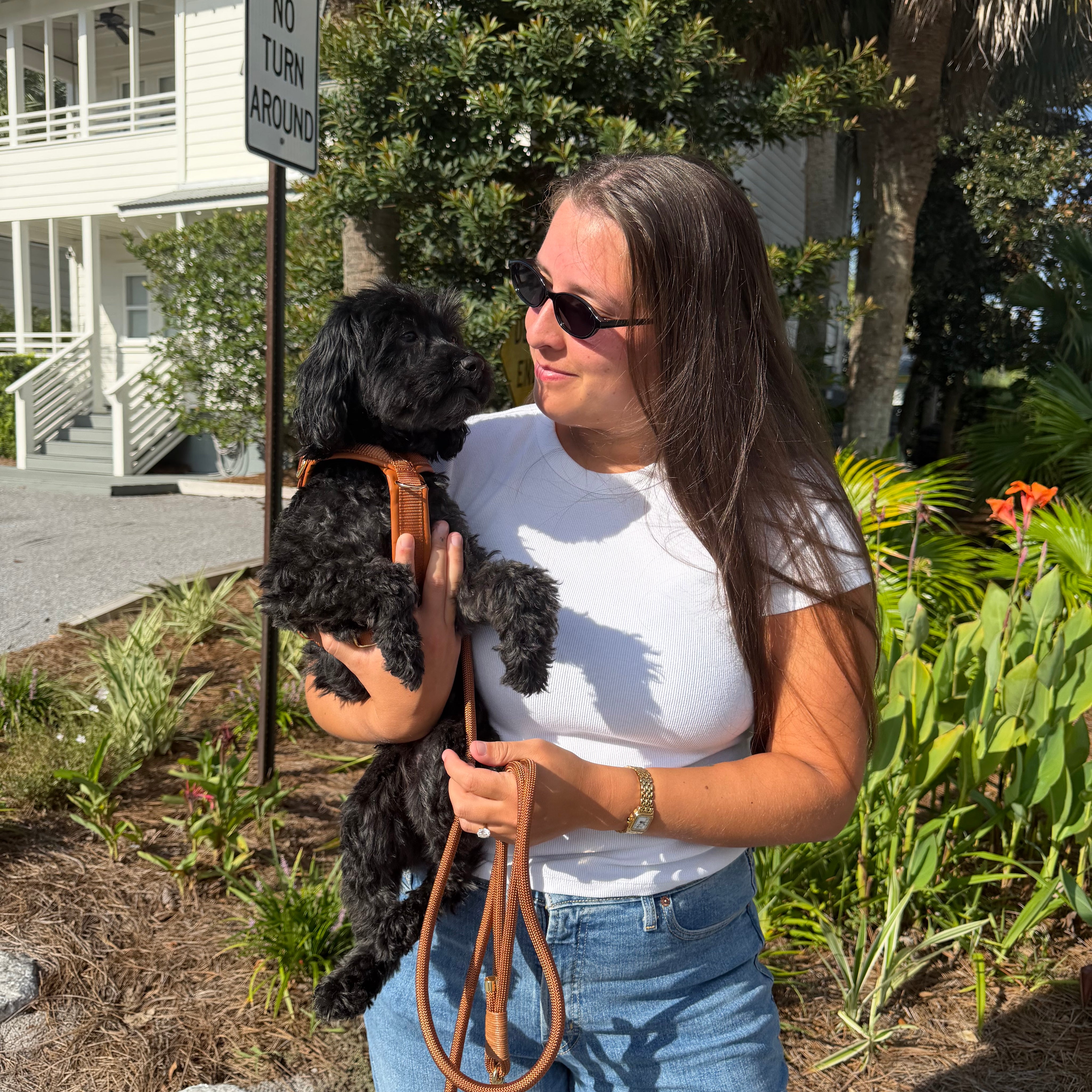 A woman wearing sunglasses, a white t-shirt, and blue jeans holds a small black dog wearing a brown leather shoulder bag outdoors in front of a house and greenery.