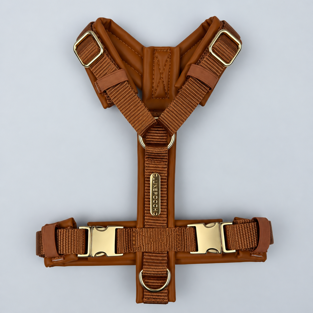 A brown dog harness with adjustable webbing straps and gold-tone metal hardware, laid flat on a light gray background.