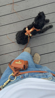 A small black dog wearing an orange harness lies on a gray wooden deck while a person in blue jeans and a white shirt walks nearby, carrying an orange leather bag with a matching leash.