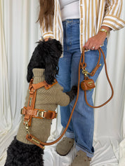 A black dog wearing a beige knit sweater and brown leather harness with gold hardware stands on a white draped fabric background next to a person wearing blue jeans and a striped shirt, who is holding a matching brown leather dog leash and small pouch.