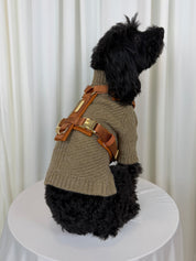 A small black dog wearing a beige knit sweater and a brown leather harness with gold-tone hardware, sitting on a white round table in front of white curtains.