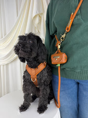 A small black dog wearing a brown harness sits beside a person in a green sweater and blue jeans wearing a matching orange crossbody leash.