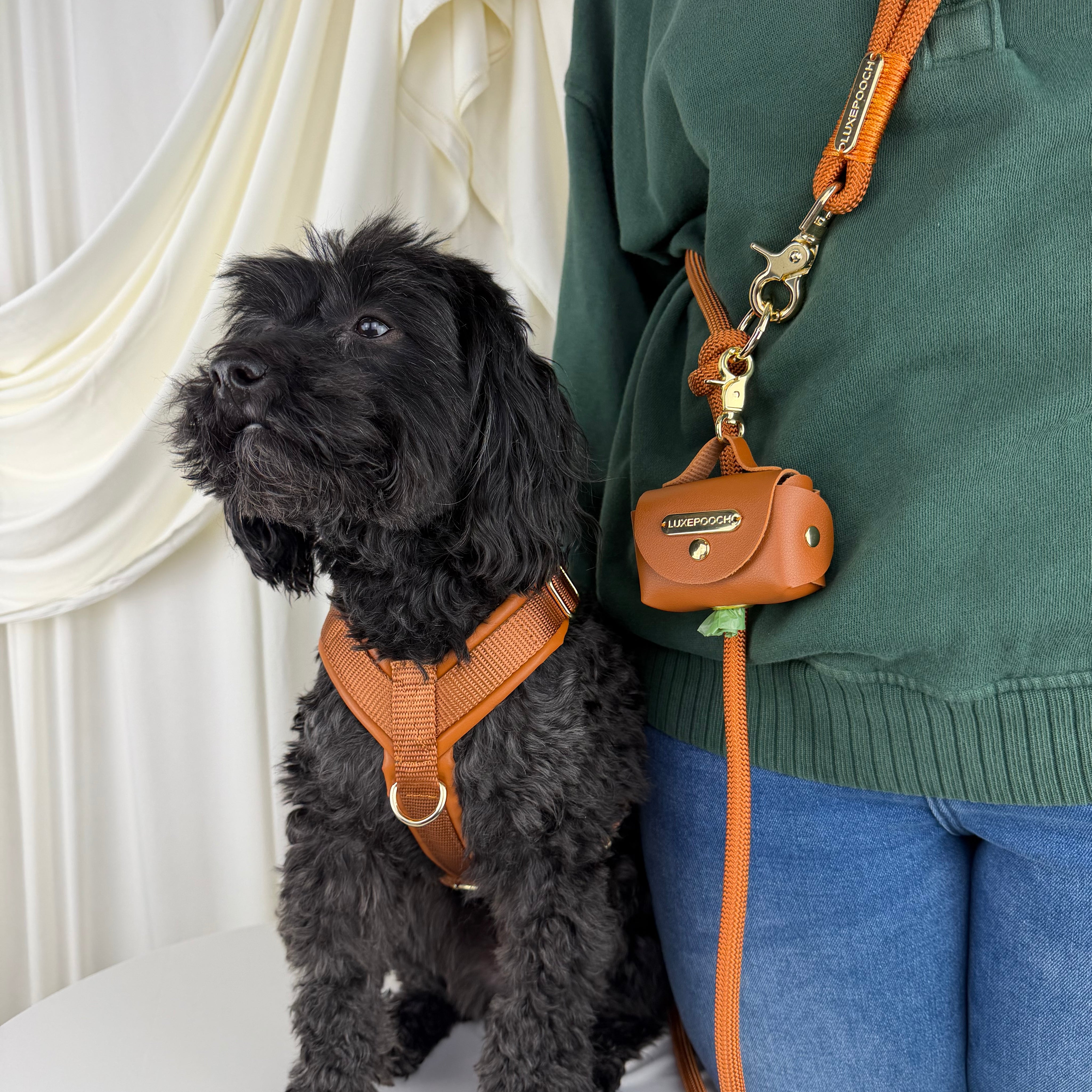 A small black dog wearing a brown harness sits beside a person in a green sweater and blue jeans wearing a matching orange crossbody leash.