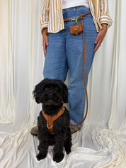 A black dog wearing a brown leather harness and leash stands in front of a person wearing blue jeans and a striped shirt, posed against draped white fabric.