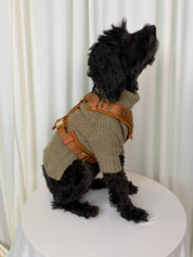 A small black dog wearing a beige ribbed knit sweater vest with tan leather harness straps and gold-tone hardware, sitting on a white round table against a white curtain backdrop.